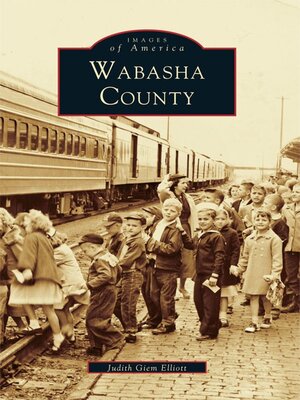 cover image of Wabasha County